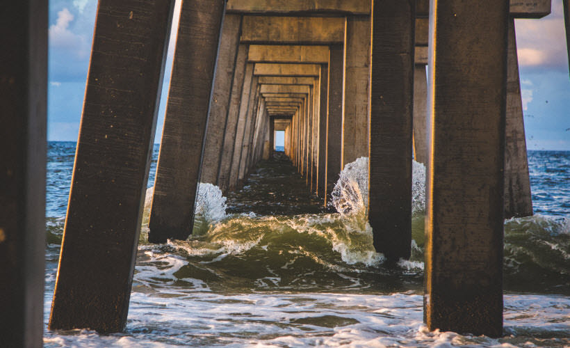 Vestibulum erat wisi